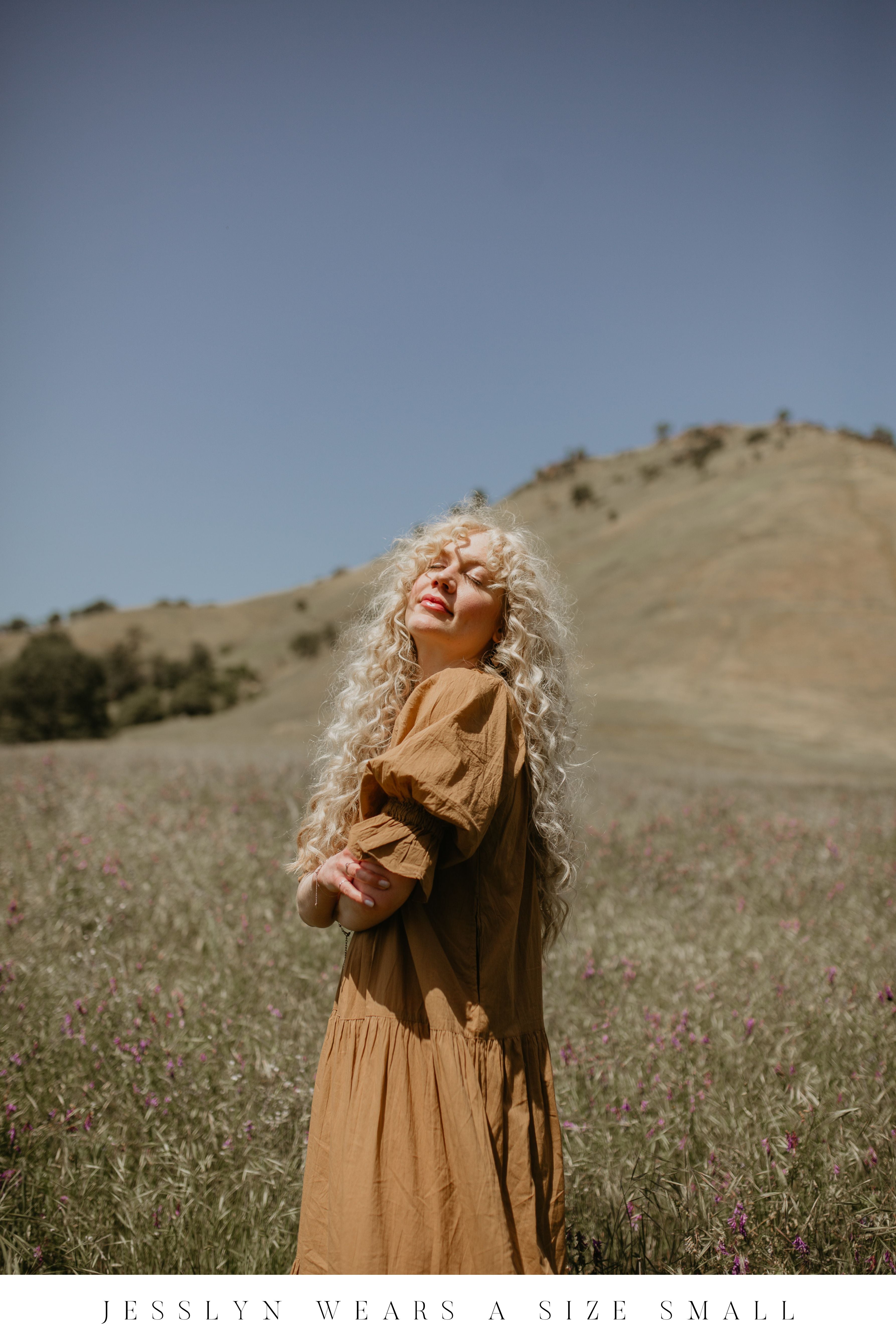 Sahana Gown ~ Desert – Daughters of India